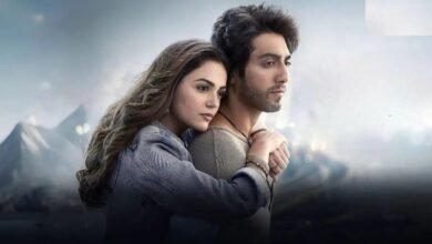 ‘Saiyaara’ का बॉक्स ऑफिस पर दबदबा, हर दिन बना रही है नया रिकॉर्ड